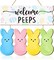 Easter Door Sign Bunny Decor, Welcome Peeps Wall Sign Decorations, Easter Eggs Wooden Door Hangers Wreath for Indoor Outdoor Spring Easter Decorations Home Party Supplies